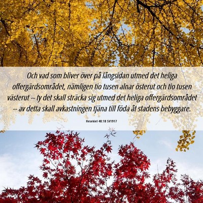 Picture 06 - Hesekiel 48:18 SV1917 - Och vad som bliver över på långsidan utmed det - Bible Verse Picture