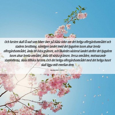 Picture 06 - Hesekiel 48:21 SV1917 - Och fursten skall få vad som bliver över på - Bible Verse Picture