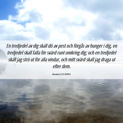 Picture 06 - Hesekiel 5:12 SV1917 - En tredjedel av dig skall dö av pest och - Bible Verse Picture