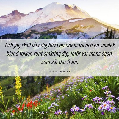 Picture 06 - Hesekiel 5:14 SV1917 - Och jag skall låta dig bliva en ödemark och en - Bible Verse Picture