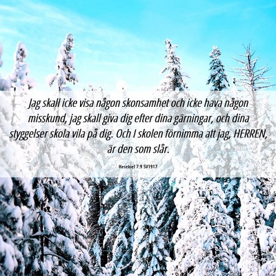 Picture 06 - Hesekiel 7:9 SV1917 - Jag skall icke visa någon skonsamhet och icke - Bible Verse Picture