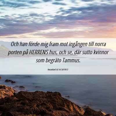 Picture 06 - Hesekiel 8:14 SV1917 - Och han förde mig fram mot ingången till norra - Bible Verse Picture