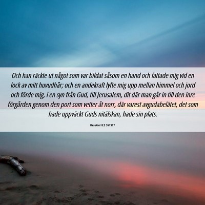 Picture 06 - Hesekiel 8:3 SV1917 - Och han räckte ut något som var bildat såsom - Bible Verse Picture