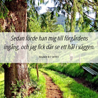 Picture 06 - Hesekiel 8:7 SV1917 - Sedan förde han mig till förgårdens ingång, - Bible Verse Picture