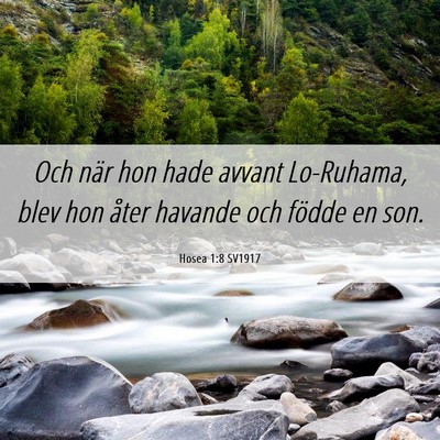 Picture 06 - Hosea 1:8 SV1917 - Och när hon hade avvant Lo-Ruhama, blev hon - Bible Verse Picture
