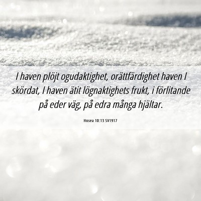 Picture 06 - Hosea 10:13 SV1917 - I haven plöjt ogudaktighet, orättfärdighet - Bible Verse Picture