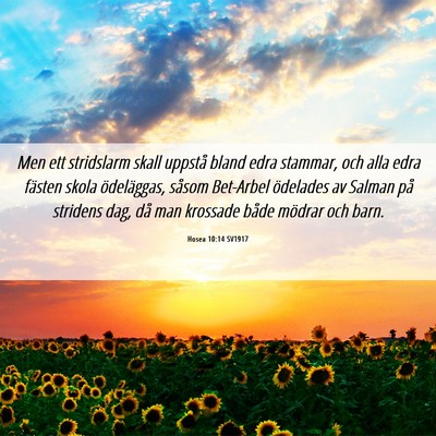 Picture 06 - Hosea 10:14 SV1917 - Men ett stridslarm skall uppstå bland edra - Bible Verse Picture