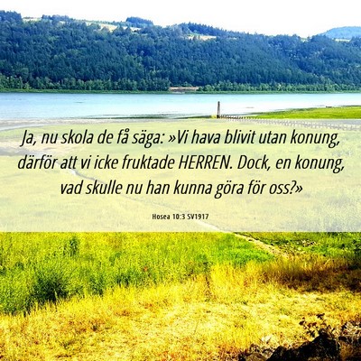Picture 06 - Hosea 10:3 SV1917 - Ja, nu skola de få säga: »Vi hava blivit utan - Bible Verse Picture