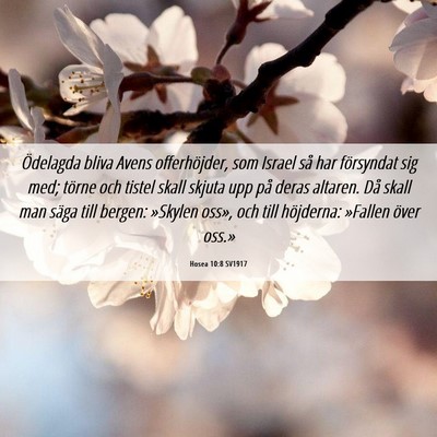 Picture 06 - Hosea 10:8 SV1917 - Ödelagda bliva Avens offerhöjder, som Israel - Bible Verse Picture
