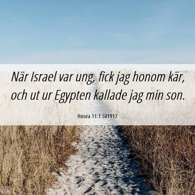 Picture 06 - Hosea 11:1 SV1917 - När Israel var ung, fick jag honom kär, och ut - Bible Verse Picture