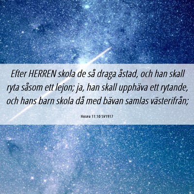Picture 06 - Hosea 11:10 SV1917 - Efter HERREN skola de så draga åstad, och han - Bible Verse Picture