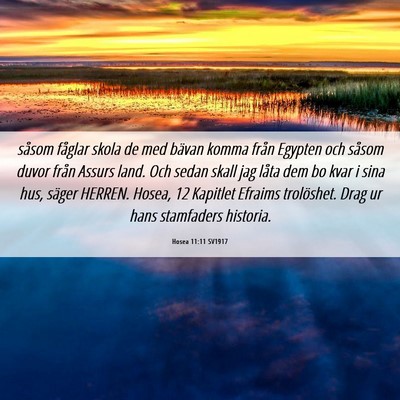Picture 06 - Hosea 11:11 SV1917 - såsom fåglar skola de med bävan komma från - Bible Verse Picture