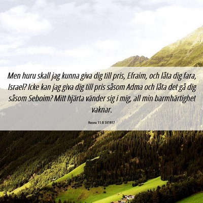 Picture 06 - Hosea 11:8 SV1917 - Men huru skall jag kunna giva dig till pris, - Bible Verse Picture