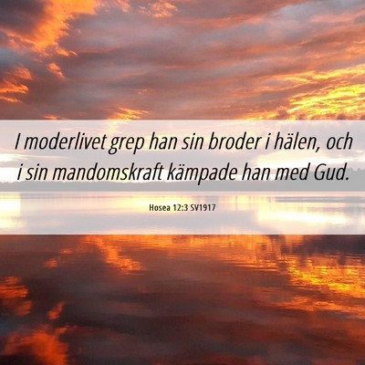 Picture 06 - Hosea 12:3 SV1917 - I moderlivet grep han sin broder i hälen, och i - Bible Verse Picture