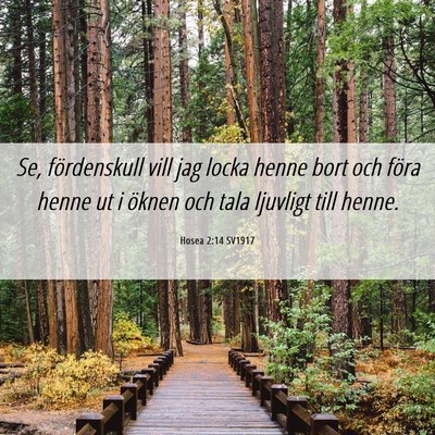 Picture 06 - Hosea 2:14 SV1917 - Se, fördenskull vill jag locka henne bort och - Bible Verse Picture