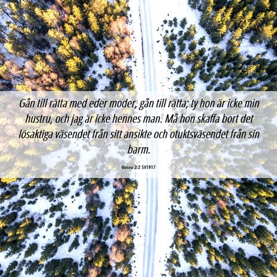 Picture 06 - Hosea 2:2 SV1917 - Gån till rätta med eder moder, gån till - Bible Verse Picture