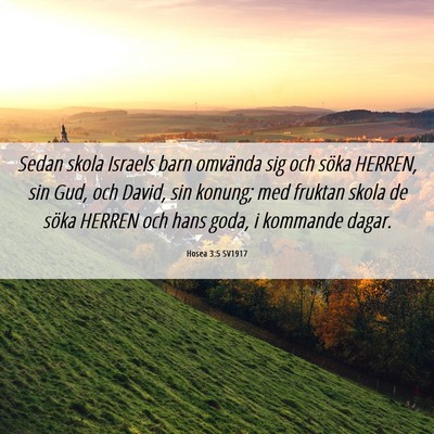 Picture 06 - Hosea 3:5 SV1917 - Sedan skola Israels barn omvända sig och söka - Bible Verse Picture