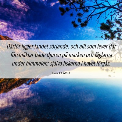 Picture 06 - Hosea 4:3 SV1917 - Därför ligger landet sörjande, och allt som - Bible Verse Picture
