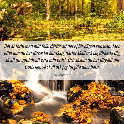 Picture 06 - Hosea 4:6 SV1917 - Det är förbi med mitt folk, därför att det ej - Bible Verse Picture