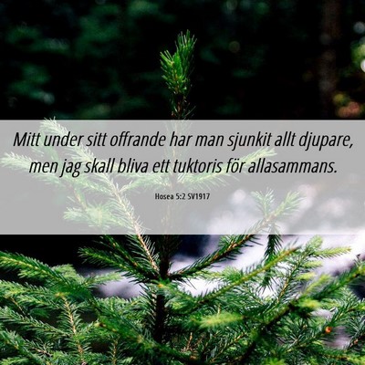 Picture 06 - Hosea 5:2 SV1917 - Mitt under sitt offrande har man sjunkit allt - Bible Verse Picture