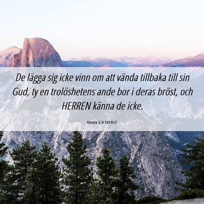 Picture 06 - Hosea 5:4 SV1917 - De lägga sig icke vinn om att vända tillbaka - Bible Verse Picture