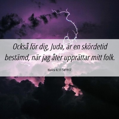 Picture 06 - Hosea 6:11 SV1917 - Också för dig, Juda, är en skördetid - Bible Verse Picture