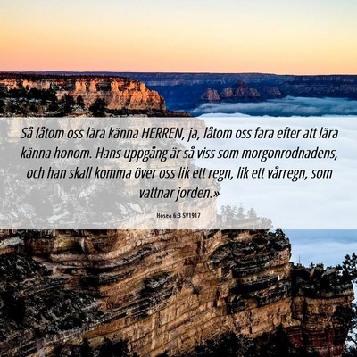 Picture 06 - Hosea 6:3 SV1917 - Så låtom oss lära känna HERREN, ja, låtom - Bible Verse Picture