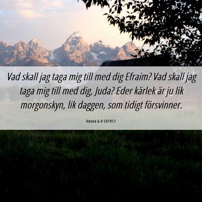 Picture 06 - Hosea 6:4 SV1917 - Vad skall jag taga mig till med dig Efraim? Vad - Bible Verse Picture