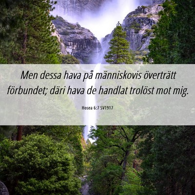 Picture 06 - Hosea 6:7 SV1917 - Men dessa hava på människovis överträtt - Bible Verse Picture