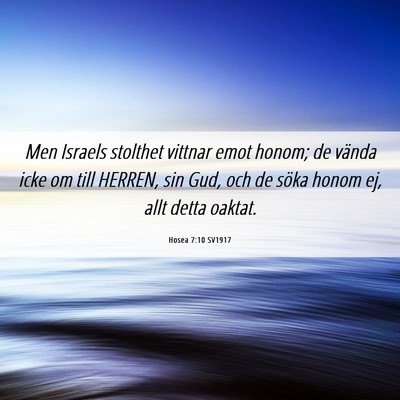 Picture 06 - Hosea 7:10 SV1917 - Men Israels stolthet vittnar emot honom; de - Bible Verse Picture