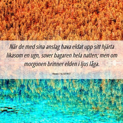 Picture 06 - Hosea 7:6 SV1917 - När de med sina anslag hava eldat upp sitt - Bible Verse Picture
