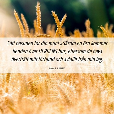 Picture 06 - Hosea 8:1 SV1917 - Sätt basunen för din mun! »Såsom en örn - Bible Verse Picture