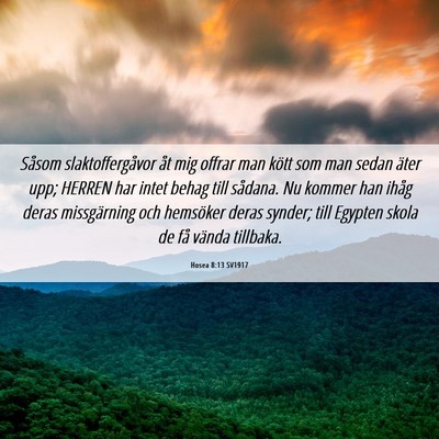 Picture 06 - Hosea 8:13 SV1917 - Såsom slaktoffergåvor åt mig offrar man kött - Bible Verse Picture