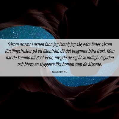 Picture 06 - Hosea 9:10 SV1917 - Såsom druvor i öknen fann jag Israel; jag såg - Bible Verse Picture
