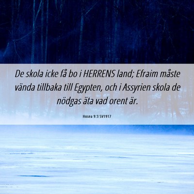 Picture 06 - Hosea 9:3 SV1917 - De skola icke få bo i HERRENS land; Efraim - Bible Verse Picture