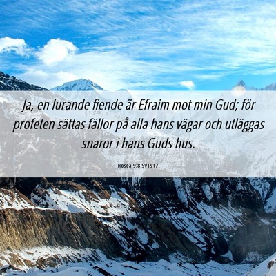 Picture 06 - Hosea 9:8 SV1917 - Ja, en lurande fiende är Efraim mot min Gud; - Bible Verse Picture