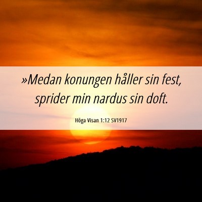 Picture 06 - Höga Visan 1:12 SV1917 - »Medan konungen håller sin fest, sprider min - Bible Verse Picture