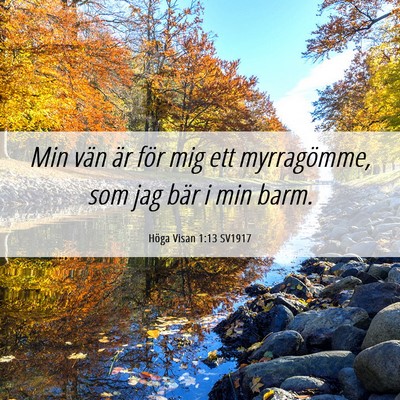 Picture 06 - Höga Visan 1:13 SV1917 - Min vän är för mig ett myrragömme, som jag - Bible Verse Picture
