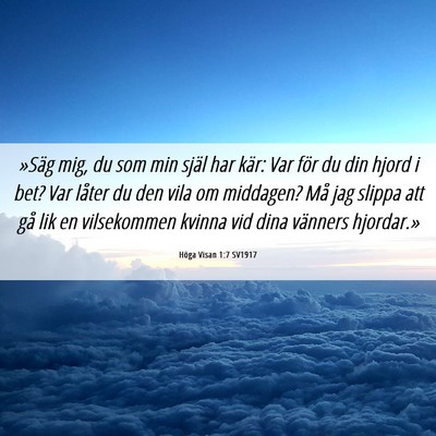 Picture 06 - Höga Visan 1:7 SV1917 - »Säg mig, du som min själ har kär: Var för - Bible Verse Picture