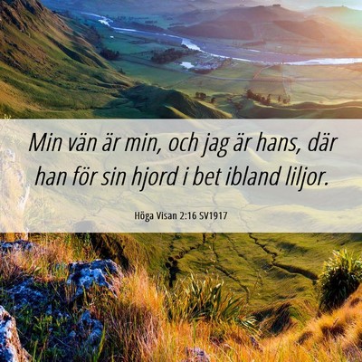 Picture 06 - Höga Visan 2:16 SV1917 - Min vän är min, och jag är hans, där han för - Bible Verse Picture