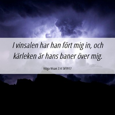 Picture 06 - Höga Visan 2:4 SV1917 - I vinsalen har han fört mig in, och kärleken - Bible Verse Picture