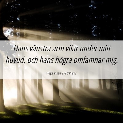 Picture 06 - Höga Visan 2:6 SV1917 - Hans vänstra arm vilar under mitt huvud, och - Bible Verse Picture