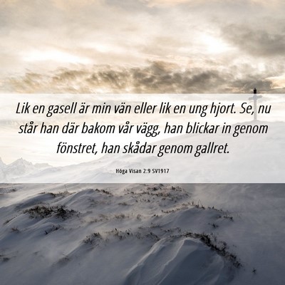 Picture 06 - Höga Visan 2:9 SV1917 - Lik en gasell är min vän eller lik en ung - Bible Verse Picture