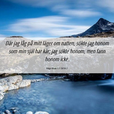 Picture 06 - Höga Visan 3:1 SV1917 - Där jag låg på mitt läger om natten, sökte - Bible Verse Picture