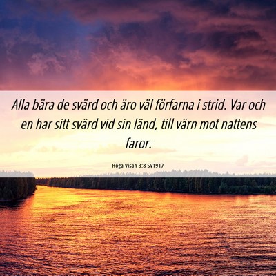 Picture 06 - Höga Visan 3:8 SV1917 - Alla bära de svärd och äro väl förfarna i - Bible Verse Picture