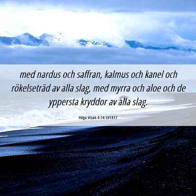 Picture 06 - Höga Visan 4:14 SV1917 - med nardus och saffran, kalmus och kanel och - Bible Verse Picture