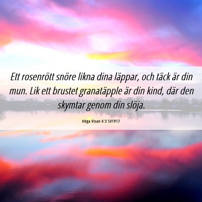Picture 06 - Höga Visan 4:3 SV1917 - Ett rosenrött snöre likna dina läppar, och - Bible Verse Picture