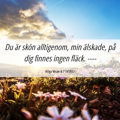 Picture 06 - Höga Visan 4:7 SV1917 - Du är skön alltigenom, min älskade, på dig - Bible Verse Picture