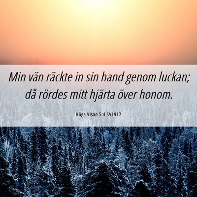 Picture 06 - Höga Visan 5:4 SV1917 - Min vän räckte in sin hand genom luckan; då - Bible Verse Picture