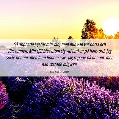 Picture 06 - Höga Visan 5:6 SV1917 - Så öppnade jag för min vän, men min vän var - Bible Verse Picture